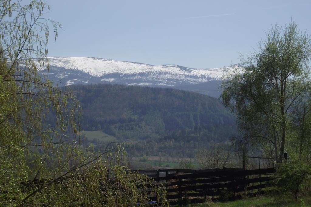 Domek Na Wzgorzu Wojcieszyce Esterno foto